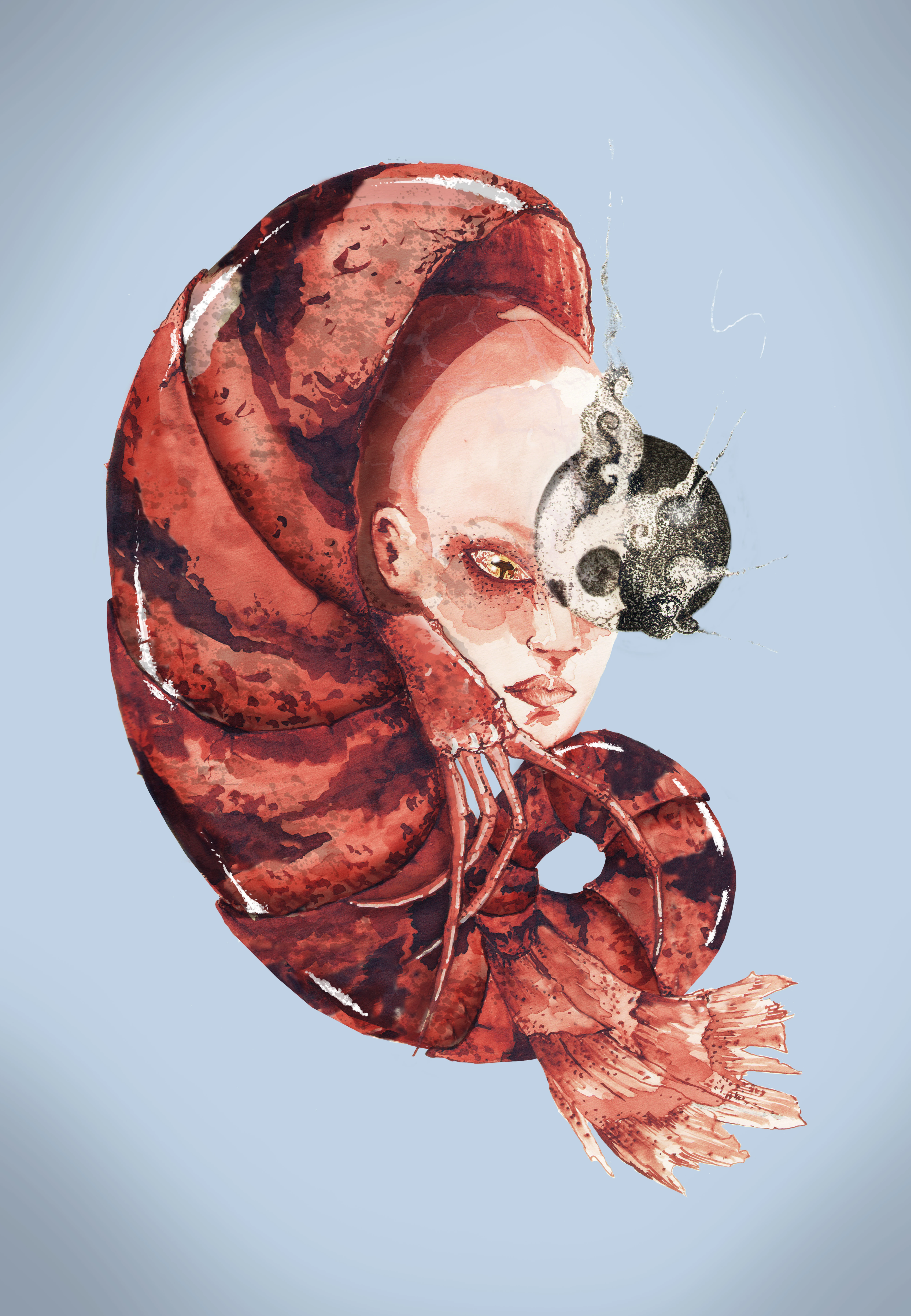 A surrealist illustration of a woman whose body merges with a crustacean exoskeleton — detailed watercolour and ink on a light blue ground, exploring transformation and biological identity. By Sergio Ayala, 2014.